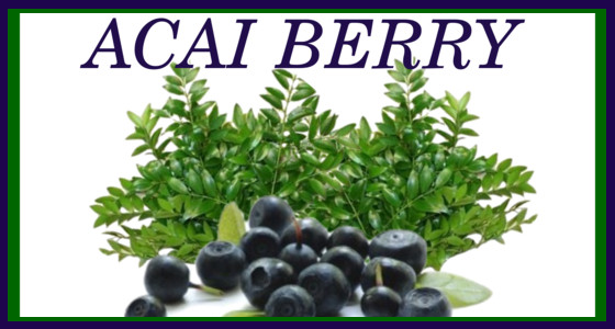 Acai Berry