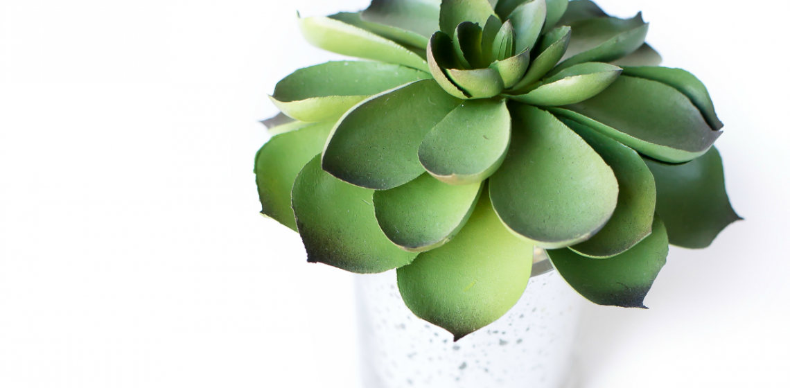 DIY Garden Tutorial How To Create A Terrarium with Succulents