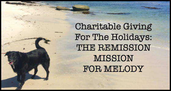 The Remission Mission for Melody - Animal Chemotherapy Fundraising Campaign