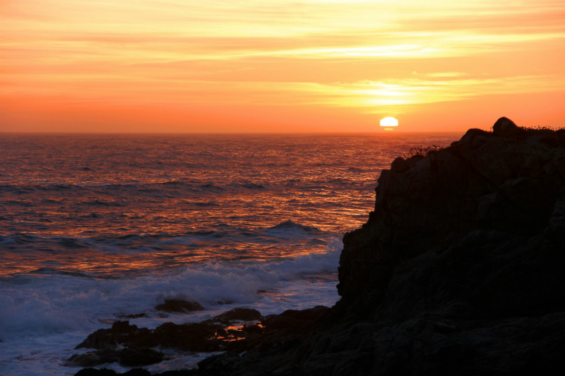 Eco-Friendly Ways to Celebrate Earth Day