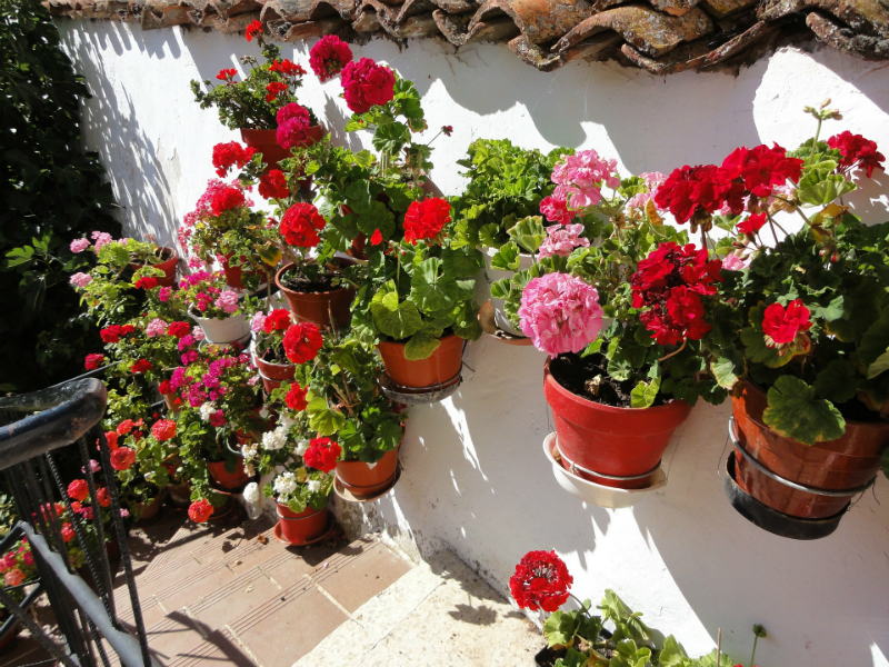 10 Things To Do This Summer To Boost Your Happiness - Gardening and Home Improvement