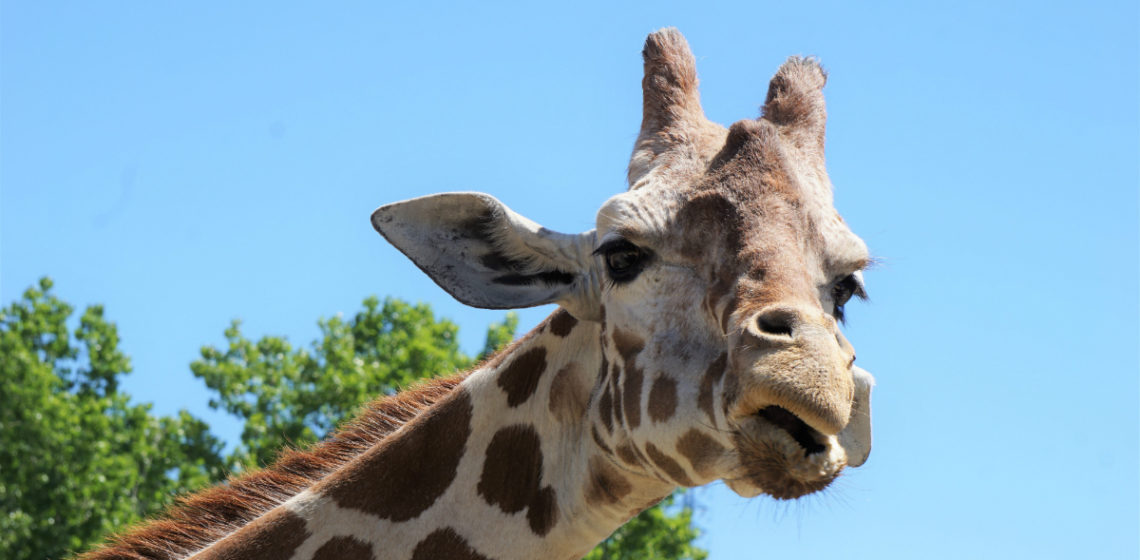 5 Fun Family-Friendly Summer Vacation Ideas to Inspire Your Next Getaway