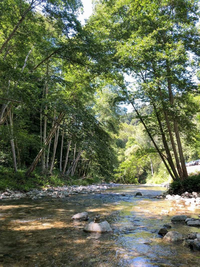 The Local's Guide to Big Sur - Where To Go and What To Do in Big Sur California