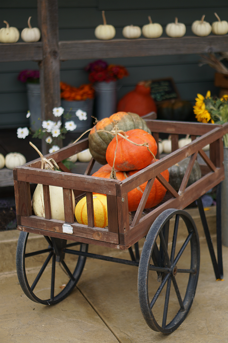 Classy Halloween Decor Ideas