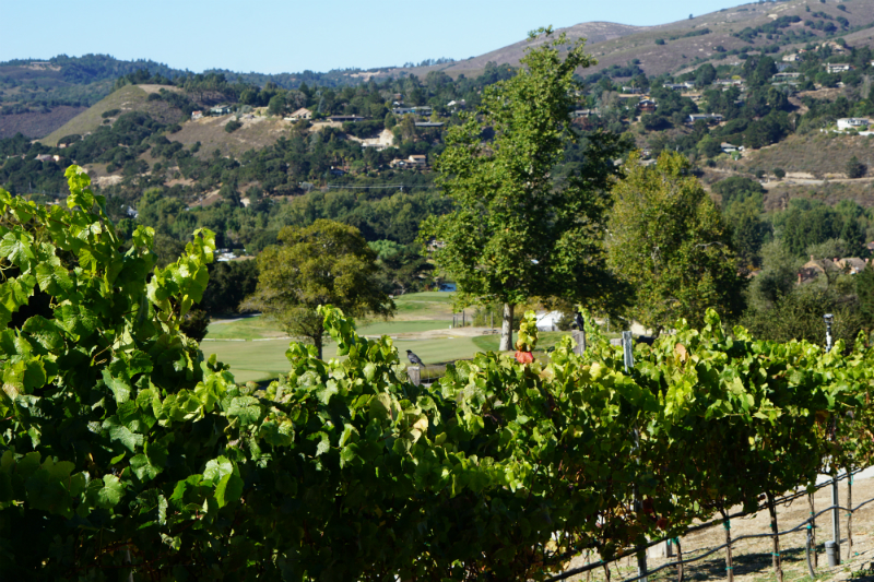 Places to Visit for Thanksgiving - Carmel Valley Ranch