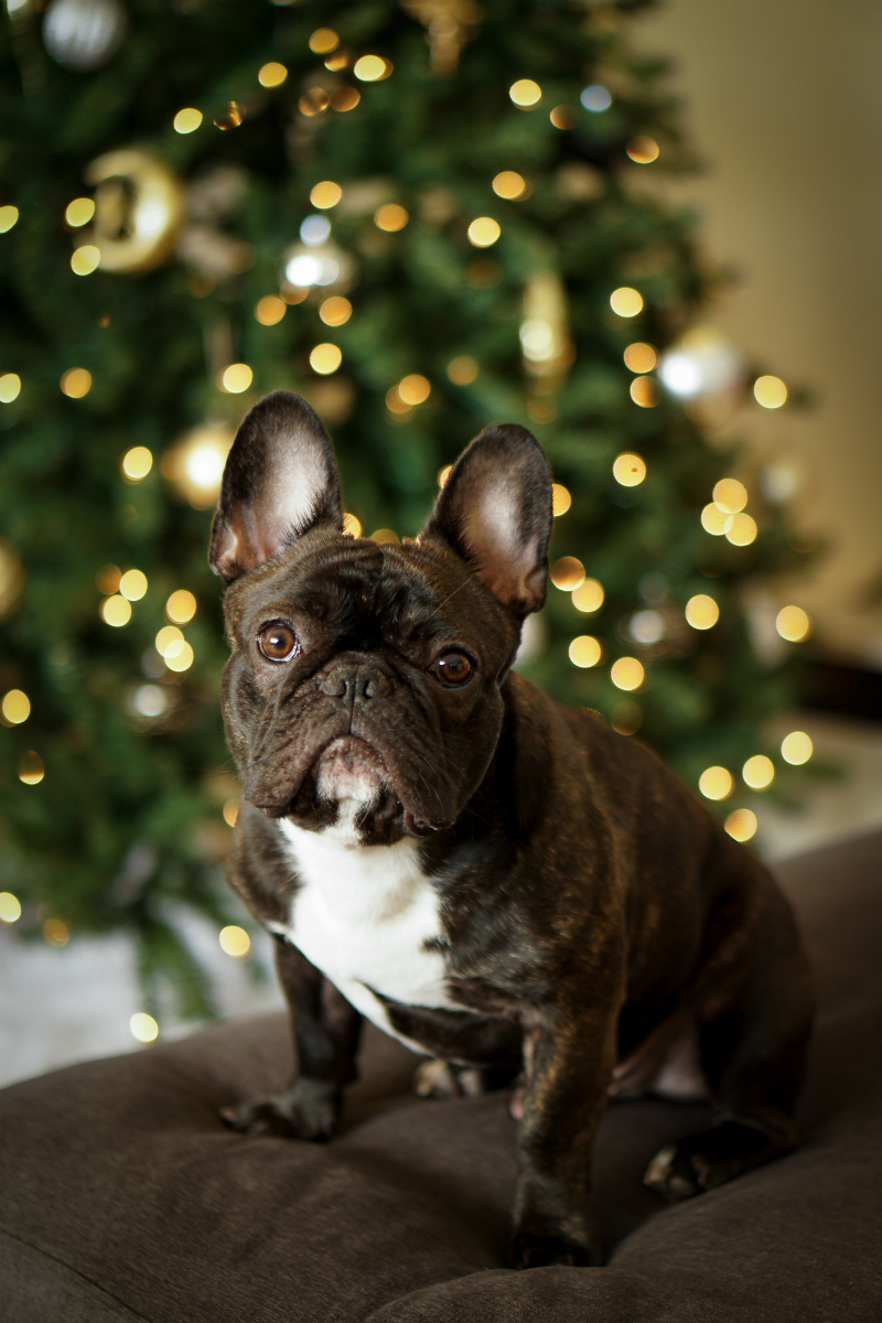 How To Decorate Your Home for The Holidays in Less Than an Hour