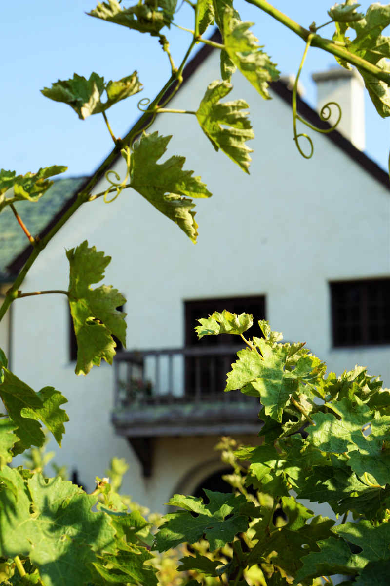 5 Inspiring Places to Relax on The Monterey Peninsula - Folktale Vineyards