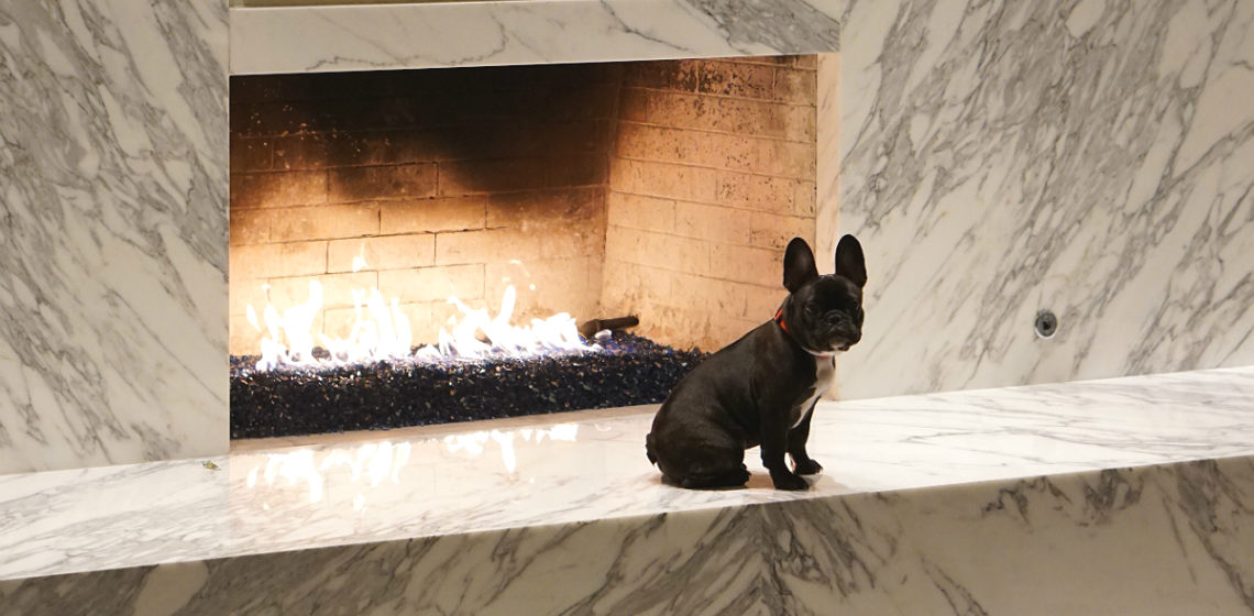 5 Dreamy Hotels That Exude Glamour and Elegance
