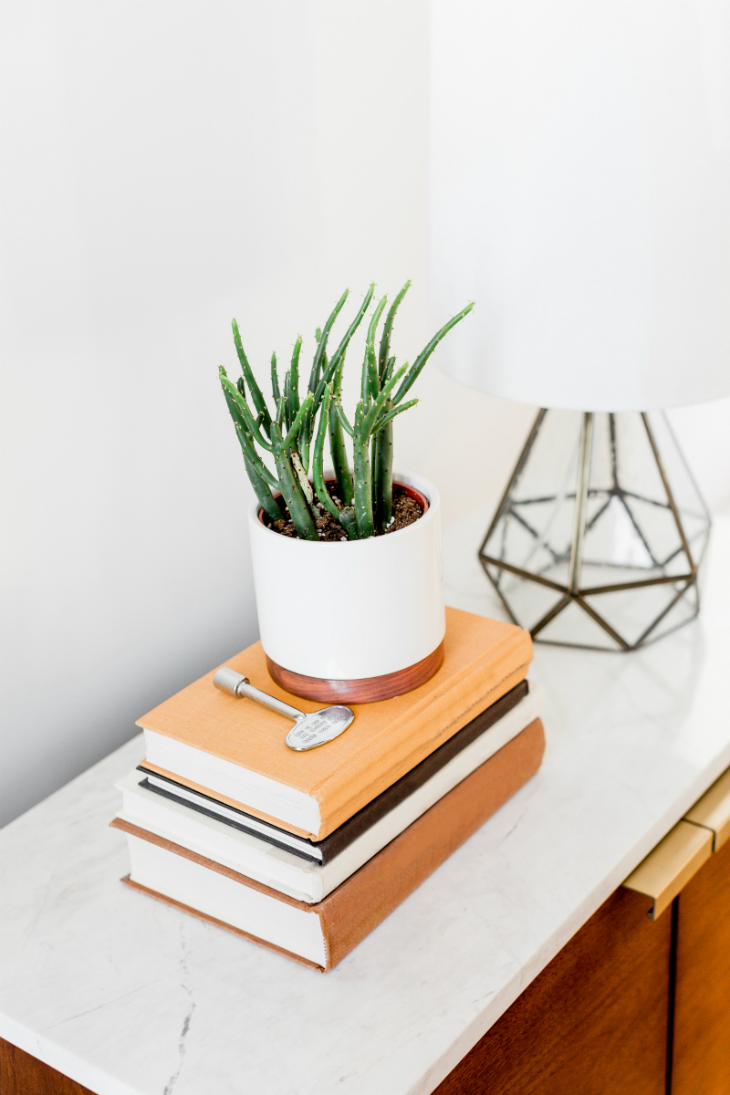 Eco-Friendly Home Decor Pieces from Amazon That Are Actually Stylish