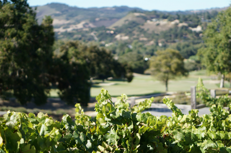 Epic Memorial Day Weekend Vacation Spots on the Central Coast of California