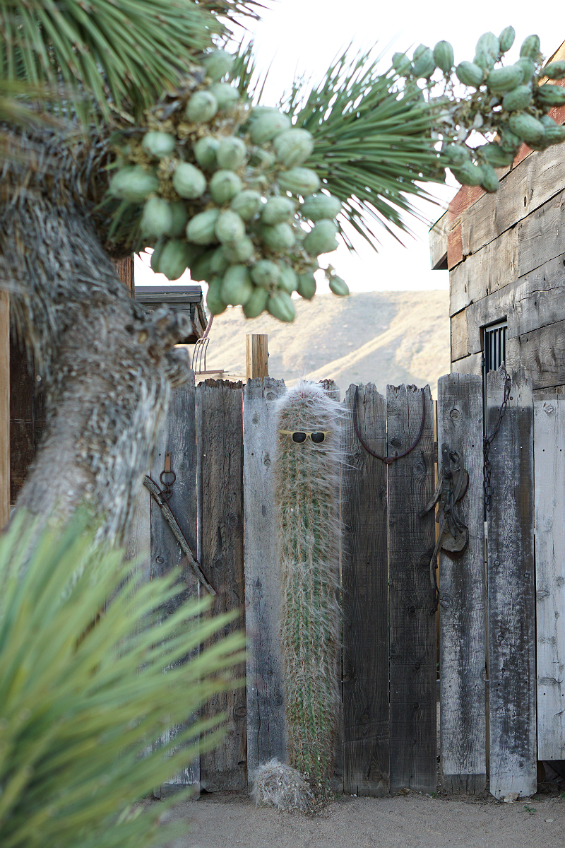 The Glam Girl's Guide to Camping in Pioneertown