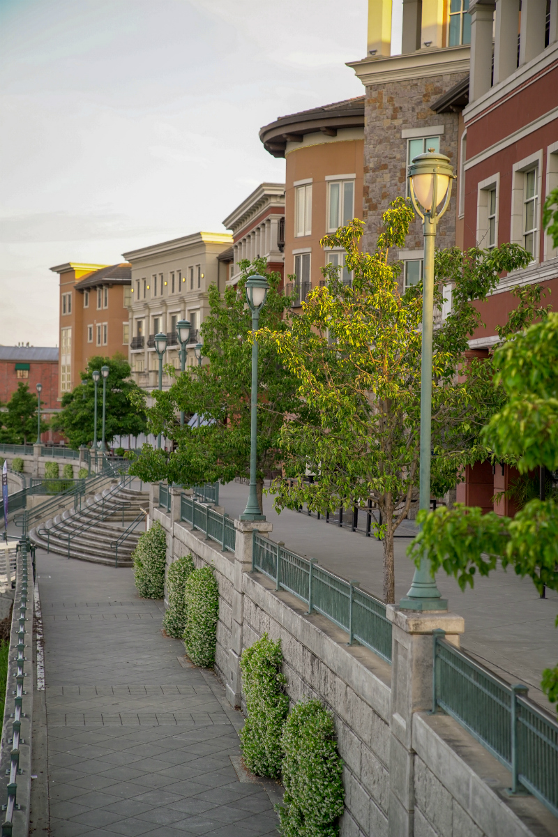 The Dog Lover's Guide to Visiting Downtown Napa