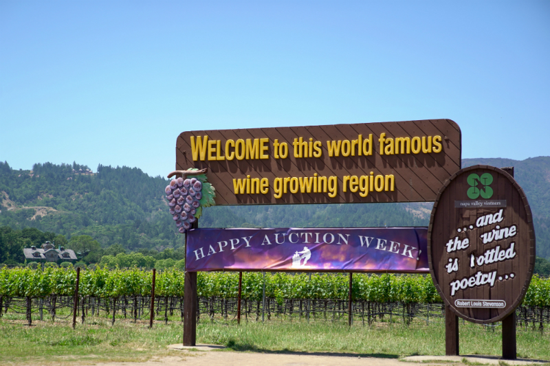The Dog Lover's Guide to Visiting Downtown Napa