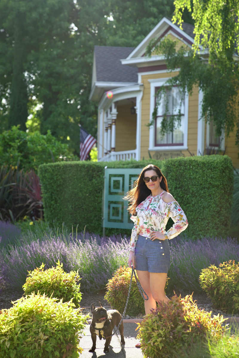 The Dog Lover's Guide to Visiting Downtown Napa