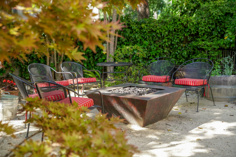 The Dog Lover's Guide to Visiting Downtown Napa
