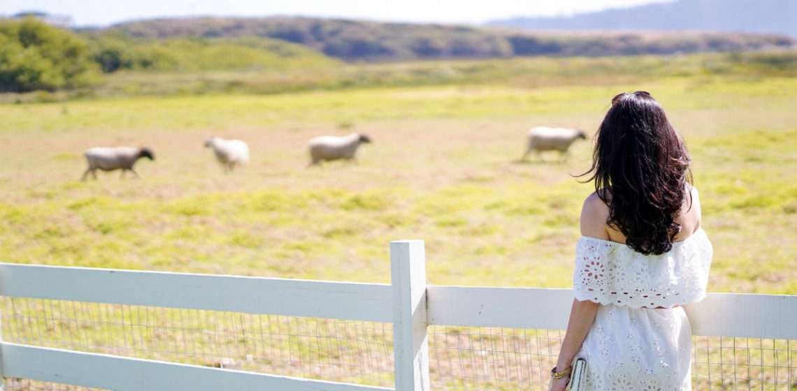 5 Insta-Worthy Restaurants on The Monterey Peninsula