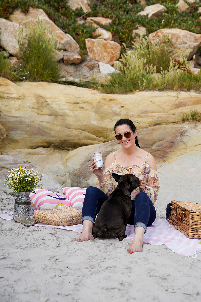 Entertaining Guide: How To Make Your Beach Picnic More Joyful with Cupcake Vineyards 