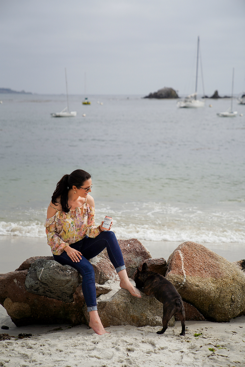 Entertaining Guide: How To Make Your Beach Picnic More Joyful with Cupcake Vineyards 