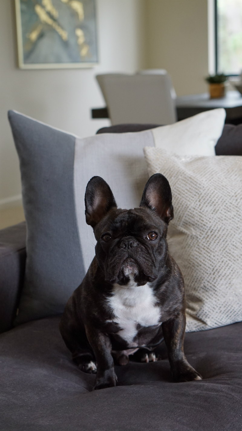 Simple Ways To Make Your Home Feel More Luxurious