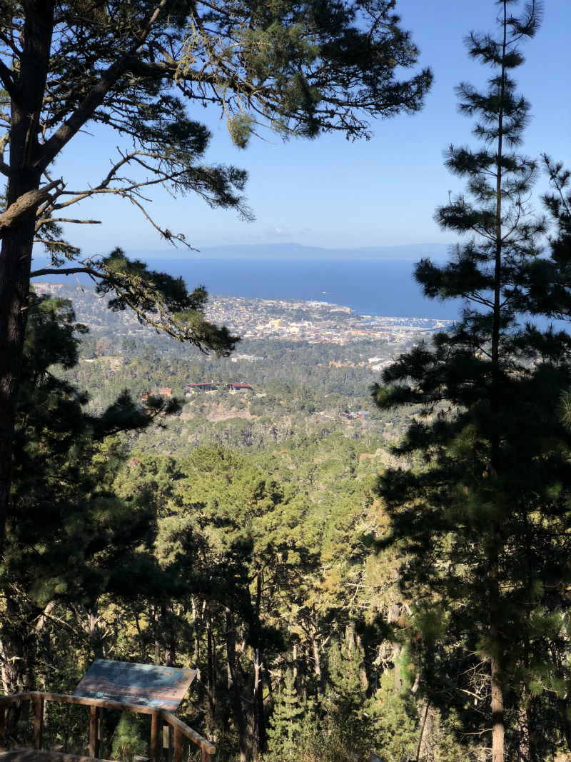 Travel Guide - Fun Ways to Spend 24 Hours in Monterey California